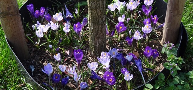 FDD-groep Groen: Bijeenkomst 1