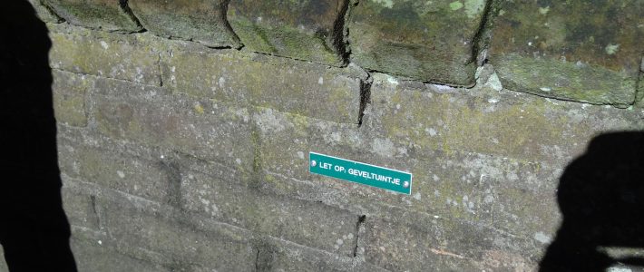 FrisDenkDoen-groep: Groen