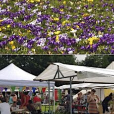 Plantenfestival Limospark op 15 mei